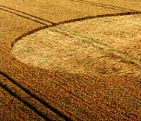 Milk Hill, Wiltshire crop circle, aerial photo 26