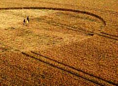 Milk Hill, Wiltshire crop circle, aerial photo 27
