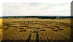 Milk Hill, Wiltshire crop circle, aerial photo 12
