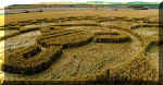 Milk Hill, Wiltshire crop circle, aerial photo 16