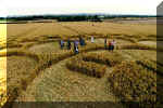 Milk Hill, Wiltshire crop circle, aerial photo 13