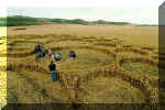 Milk Hill, Wiltshire crop circle, aerial photo 14