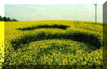Newton St Loe, Somerset crop circle, aerial photo 4