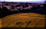 Newton St Loe, Somerset crop circle, aerial photo 3