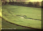 Newton St Loe, Somerset crop circle, aerial photo 3
