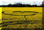 Weyhill, Hampshire crop circle, aerial photo 4