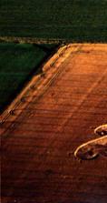 Silbury Hill (3), Wiltshire crop circle, aerial photo 3