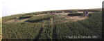 Avebury Stones, Wiltshire crop circle, aerial photo 4