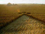 Yatesbury, Wiltshire crop circle, aerial photo 4