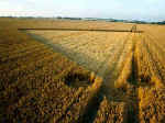Yatesbury, Wiltshire crop circle, aerial photo 3