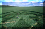 All Cannings, Wiltshire crop circle, aerial photo 3