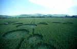 Allington, Wiltshire crop circle, aerial photo 21