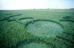 Allington, Wiltshire crop circle, aerial photo 23