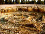 Avebury Avenue, Wiltshire crop circle, aerial photo 18