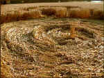 Avebury Avenue, Wiltshire crop circle, aerial photo 19