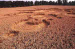 Avebury Avenue, Wiltshire crop circle, aerial photo 11