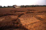 Avebury Avenue, Wiltshire crop circle, aerial photo 12