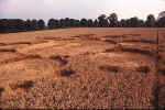 Avebury Avenue, Wiltshire crop circle, aerial photo 14