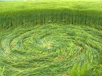 Avebury Trusloe, Wiltshire crop circle, aerial photo 2