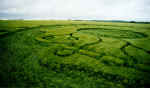 Avebury Trusloe, Wiltshire crop circle, aerial photo 8