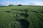 Avebury Trusloe, Wiltshire crop circle, aerial photo 12