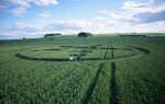 Avebury Trusloe, Wiltshire crop circle, aerial photo 13
