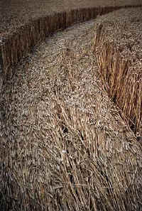 Barbury Castle, Wiltshire crop circle, aerial photo 10