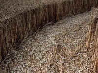 Barbury Castle, Wiltshire crop circle, aerial photo 9