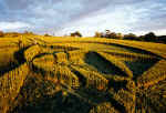 Penny Quick Hill, Somerset crop circle, aerial photo 4