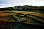 Penny Quick Hill, Somerset crop circle, aerial photo 6