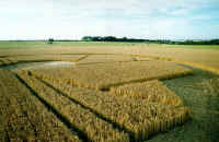 Beckhampton, Wiltshire crop circle, aerial photo 9