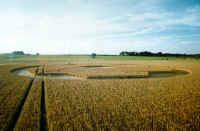 Beckhampton, Wiltshire crop circle, aerial photo 10