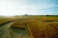 Beckhampton, Wiltshire crop circle, aerial photo 11