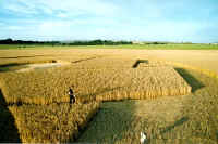 Beckhampton, Wiltshire crop circle, aerial photo 12