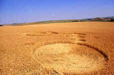 Beckhampton, Wiltshire crop circle, aerial photo 3