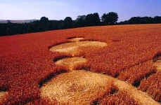 Beckhampton, Wiltshire crop circle, aerial photo 6