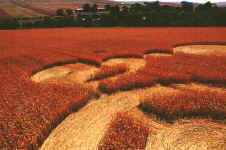 Beckhampton, Wiltshire crop circle, aerial photo 5