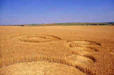 Beckhampton, Wiltshire crop circle, aerial photo 4