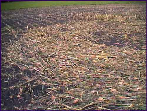 (4), Wiltshire crop circle from the air
