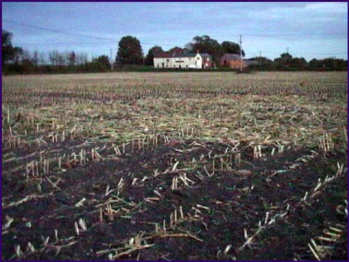 Bishop Cannings, Wiltshire crop circle, aerial photo 7