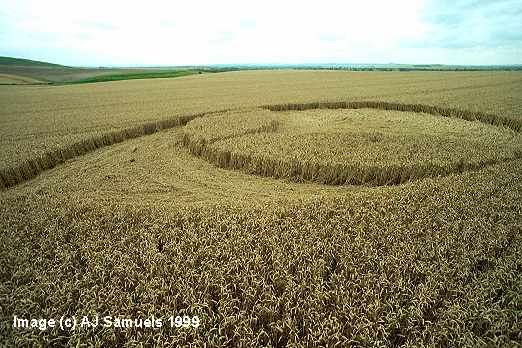 Bishop Cannings, Wiltshire crop circle, aerial photo 5
