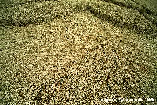 Bishop Cannings, Wiltshire crop circle, aerial photo 6