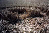 Borstal, Kent crop circle, aerial photo 6
