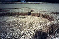 Borstal, Kent crop circle, aerial photo 7