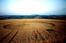 Stanton Prior, nr Bristol crop circle, aerial photo 5