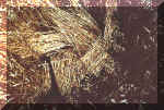 Stanton Prior, nr Bristol crop circle, aerial photo 14
