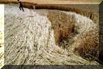 Stanton Prior, nr Bristol crop circle, aerial photo 13