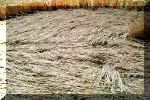 Stanton Prior, nr Bristol crop circle, aerial photo 12