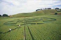 Cherhill, Wiltshire crop circle, aerial photo 3