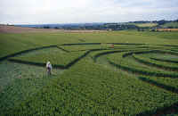 Cherhill, Wiltshire crop circle, aerial photo 5